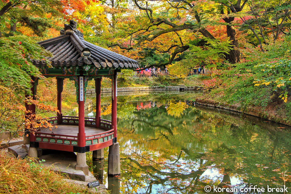 Incontournables de Séoul : Changdeokgung Palace et Huwon son jardin secret (창덕궁과 후원)