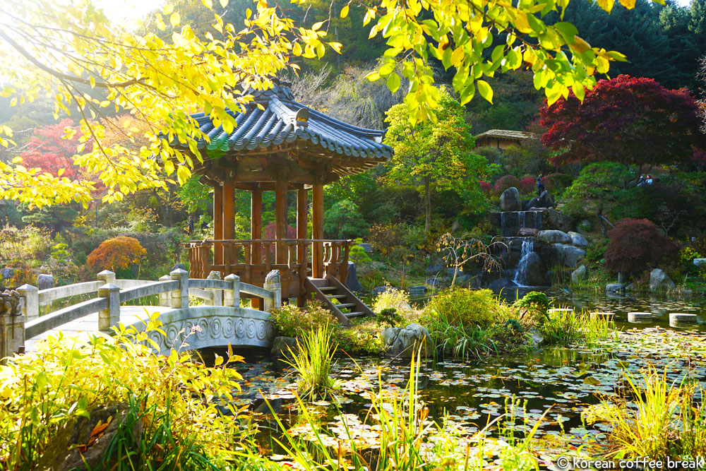 Les meilleurs endroits pour admirer les feuillages d’automne en Corée du Sud : Garden of Morning Calm (아침 고요 수목원)