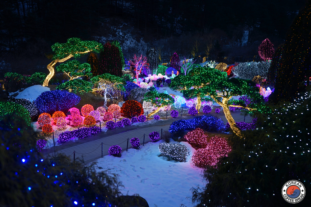 Noël en Corée du Sud - Garden of Morning Calm