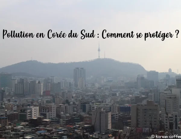 Pollution en Corée du Sud : Comment se protéger ?