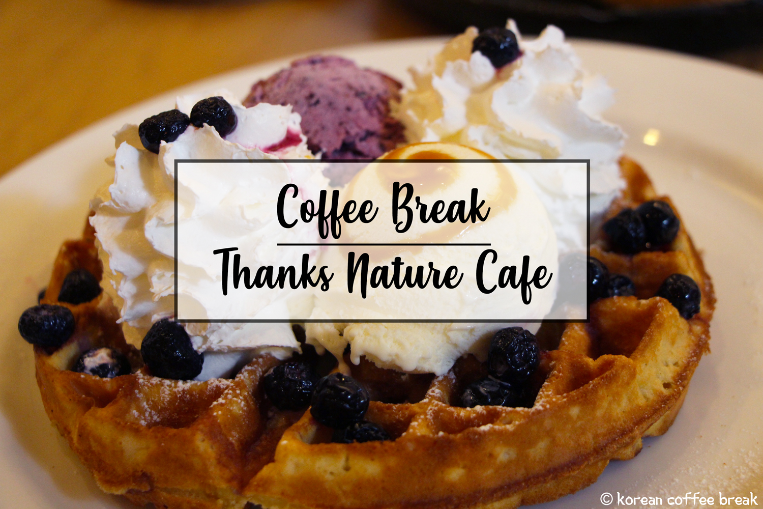 Thanks Nature Cafe seoul
