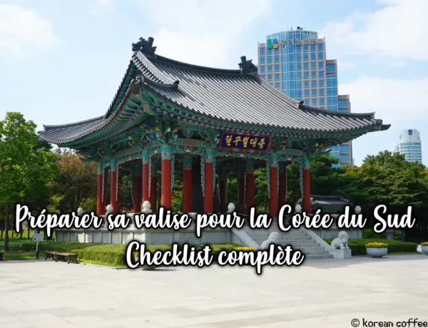 Que mettre dans sa valise pour aller en Corée du Sud