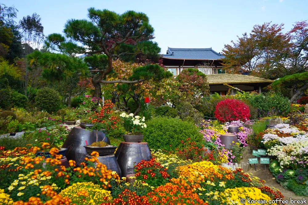 Que mettre dans sa valise pour aller en Corée du Sud durant l'automne