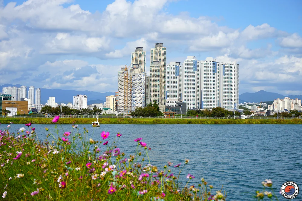 10 lieux incontournables à Daegu : Suseong Lake (대구관광안내)