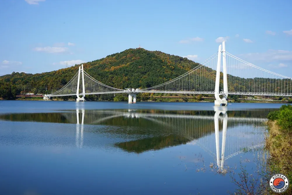 Pont suspendu Topjeongho 탑정호 출렁다리