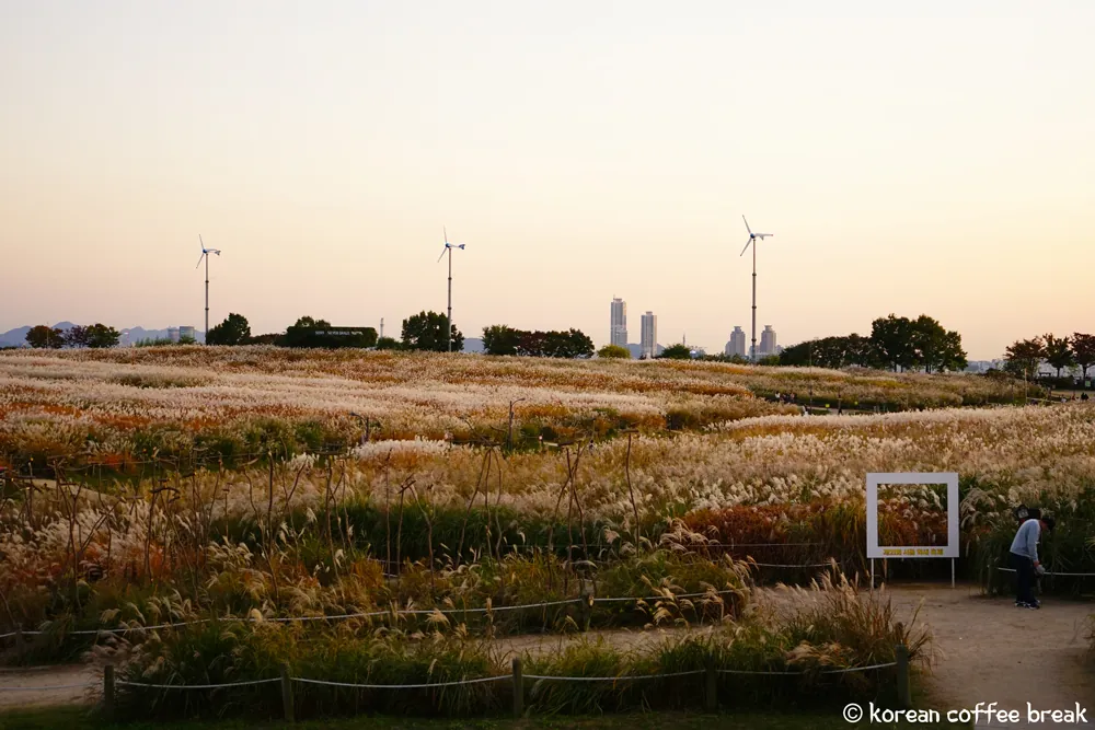 Automne en Corée du Sud : Haneul Park
