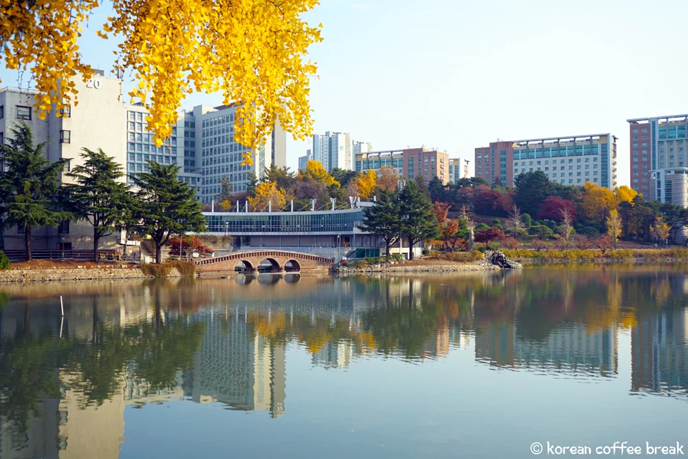 Automne en Corée du Sud