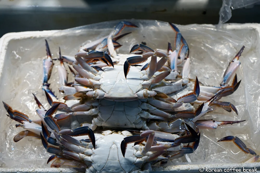Crabe bleu (꽃게)