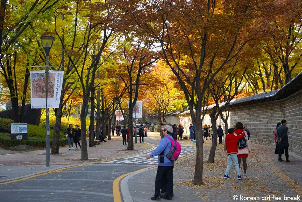 Deoksugung Stone Wall Road (덕수궁 돌담길) - SEOUL