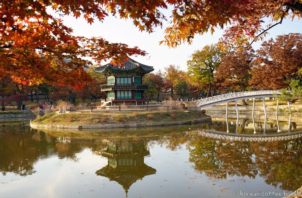 Les meilleurs endroits pour admirer les feuillages d’automne en Corée du Sud : Haneul Park, Séoul