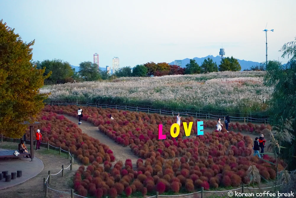Les meilleurs endroits pour admirer les feuillages d’automne en Corée du Sud : Haneul Park, Séoul