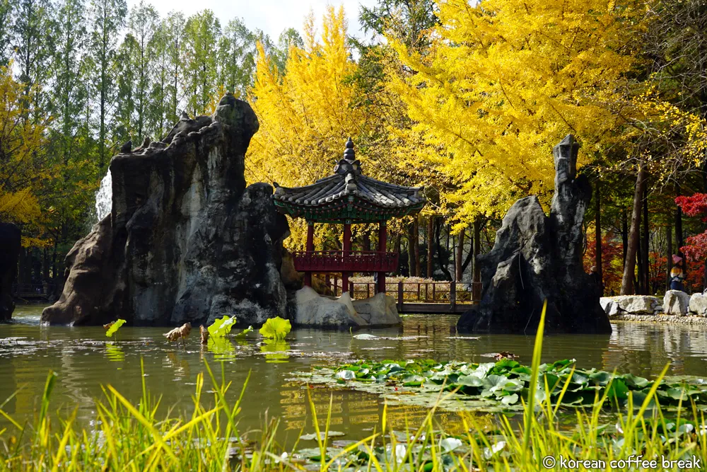 Nami Island (남이섬)