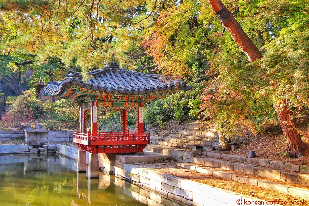 Les meilleurs endroits pour admirer les feuillages d’automne en Corée du Sud : Changdeokgung Palace & Secret Garden (창덕궁과 후원) - SEOUL