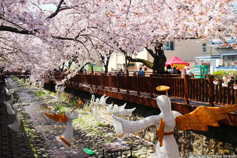 Jinhae gunhangje festival