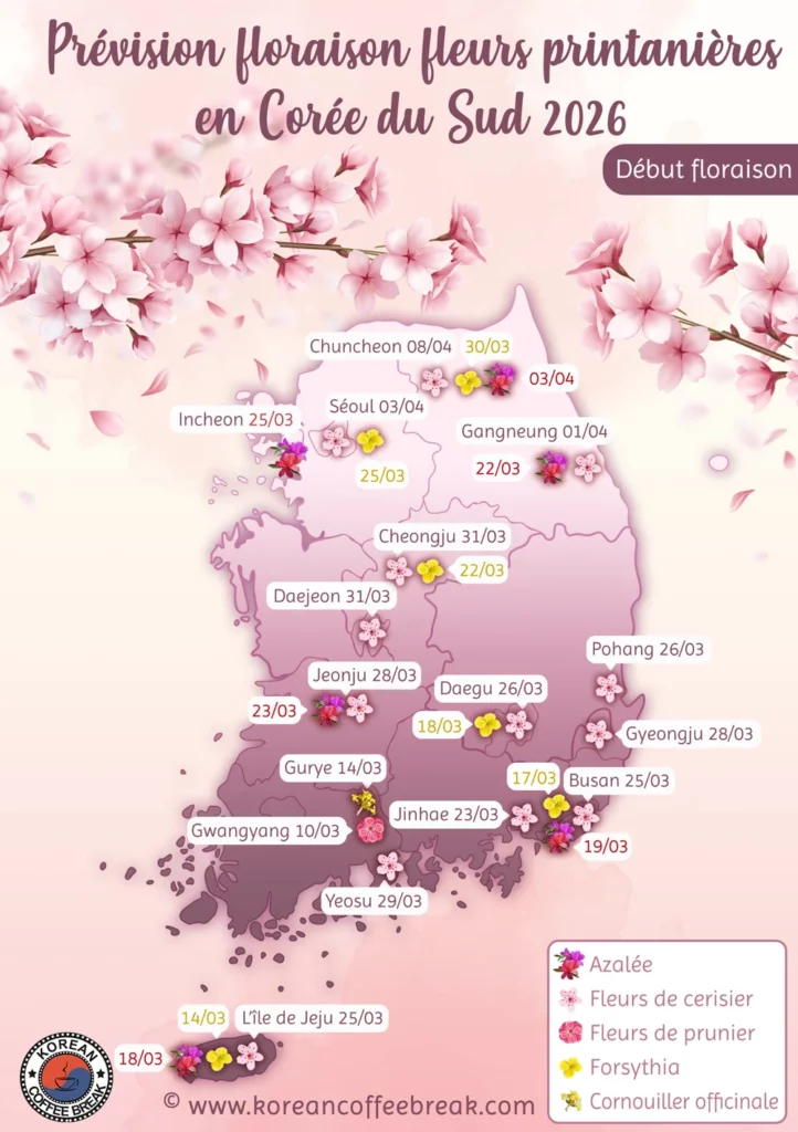 Prévision de la floraison des différentes fleurs en Corée du Sud en 2026