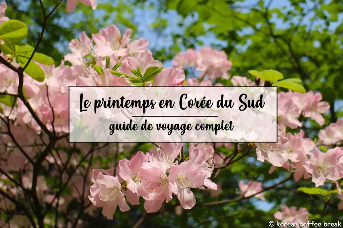Le printemps en Corée du Sud – Guide de voyage complet