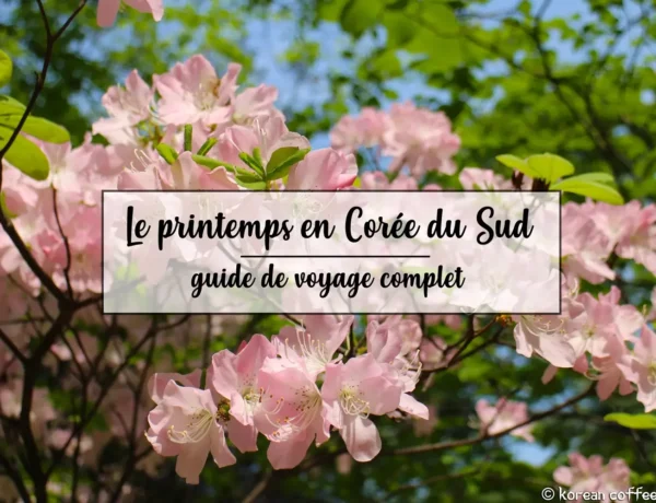 Le printemps en Corée du Sud – Guide de voyage complet