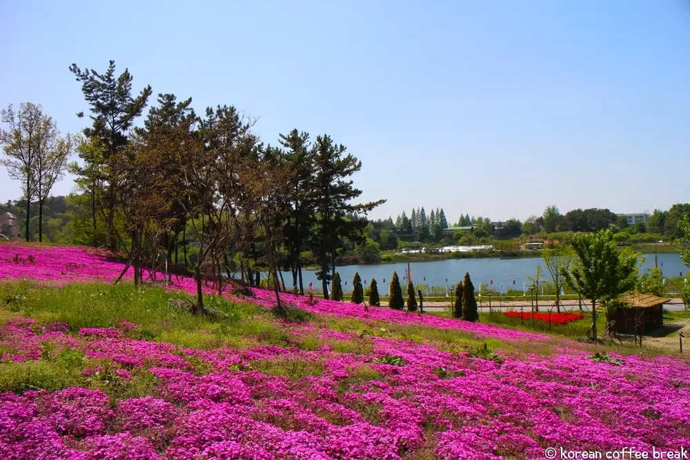Printemps en Corée du Sud - Iksan