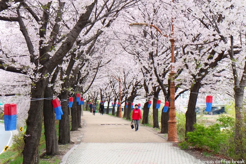 Printemps en Corée du Sud - Séoul