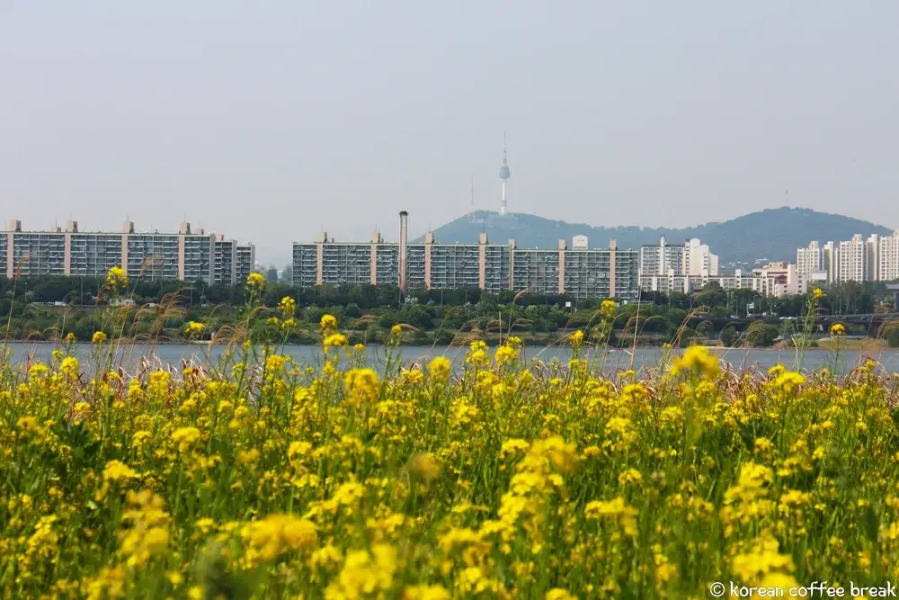 Printemps à Séoul | Hangang Seoraeseom