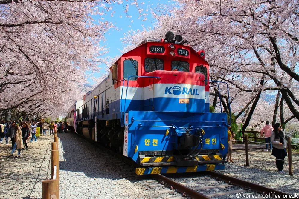 Festivals du printemps en Corée du Sud  : Festival Jinhae Gunhangje