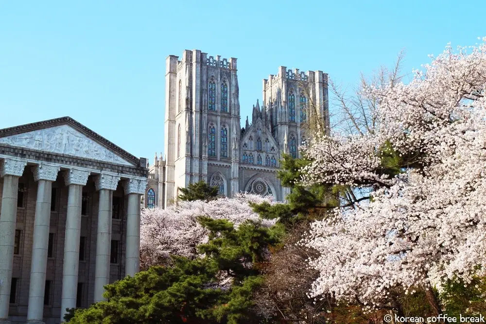 Printemps à Séoul | KyungHee University