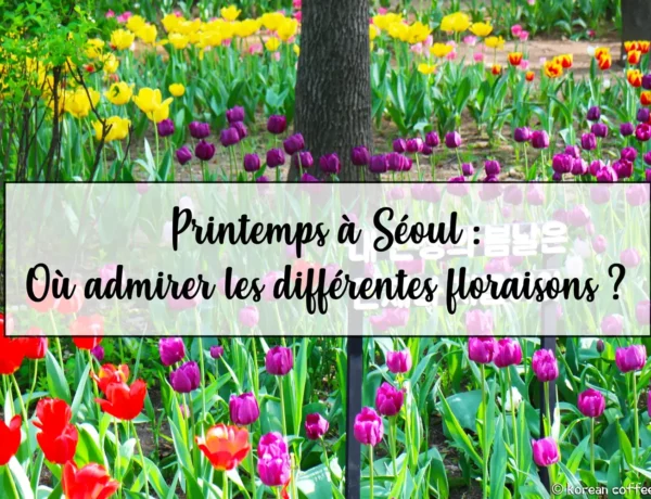 Printemps à Séoul