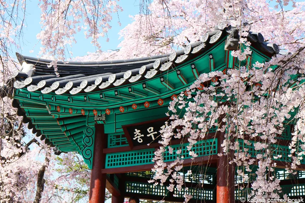 Printemps à Séoul | Seoul National Cemetery