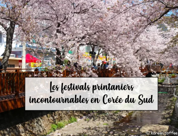 Les festivals printaniers incontournables en Corée du Sud