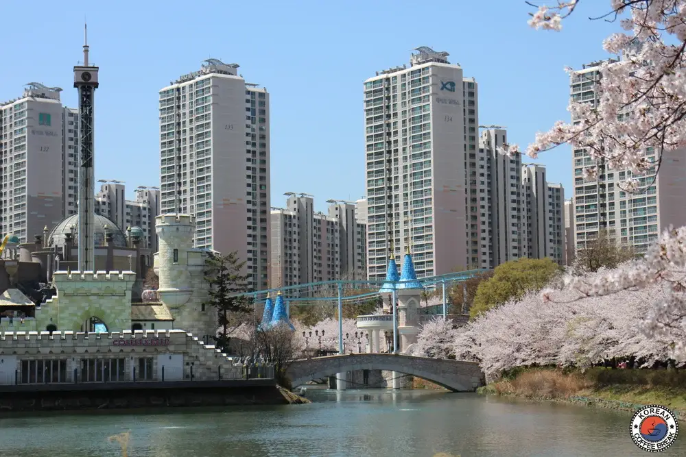 festivals printemps en Corée du Sud : Seokchon Lake Cherry Blossom Festival