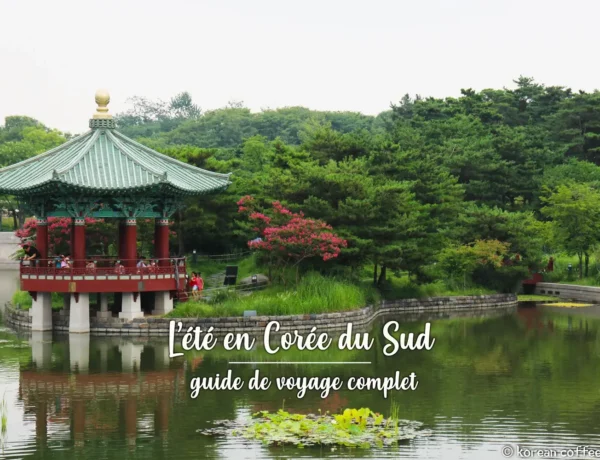 L’été en Corée du Sud – Guide de voyage complet