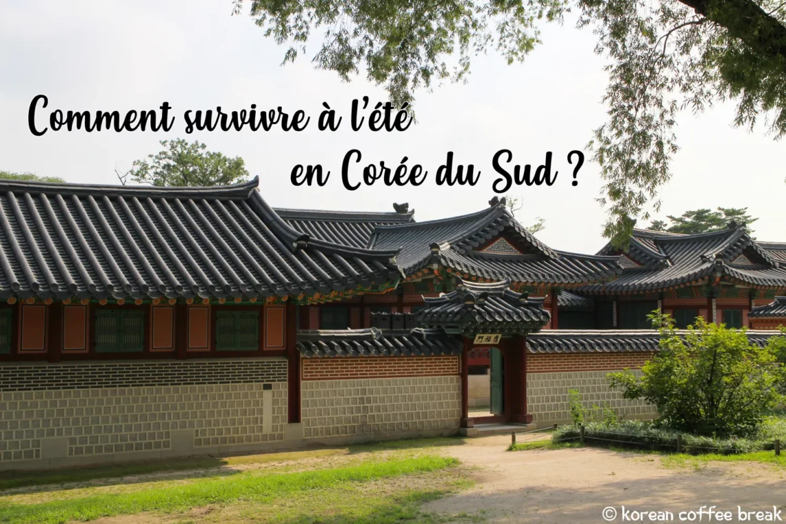 survivre à l'été en Corée du Sud