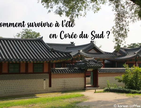 survivre à l'été en Corée du Sud