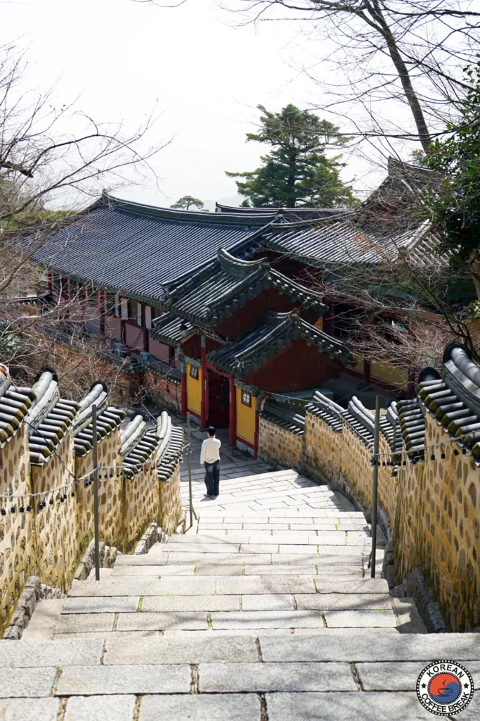 Découverte de Busan en Corée du Sud