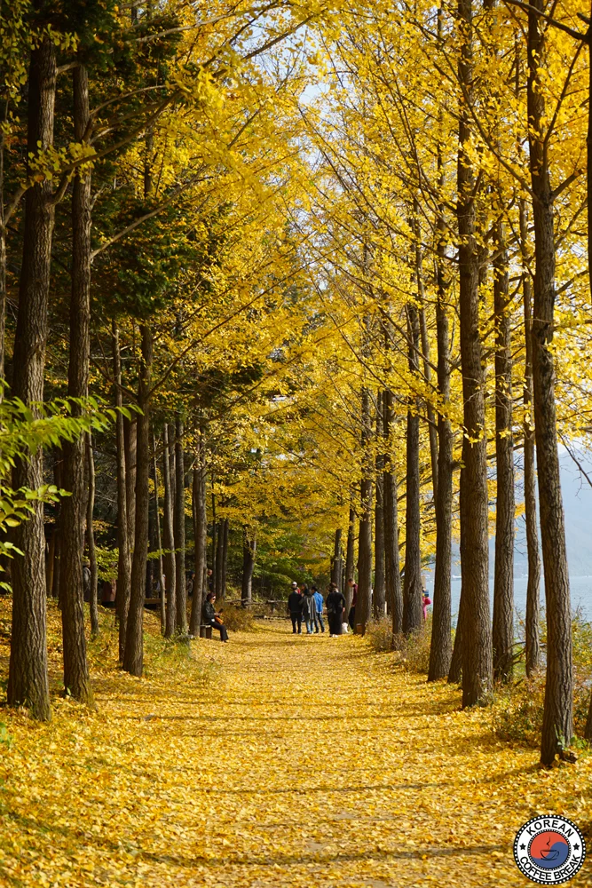 guide français en Corée du Sud