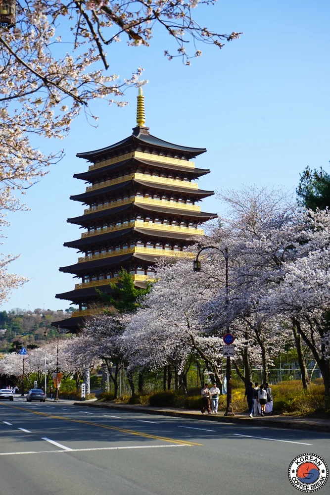 Guide français en Corée du Sud