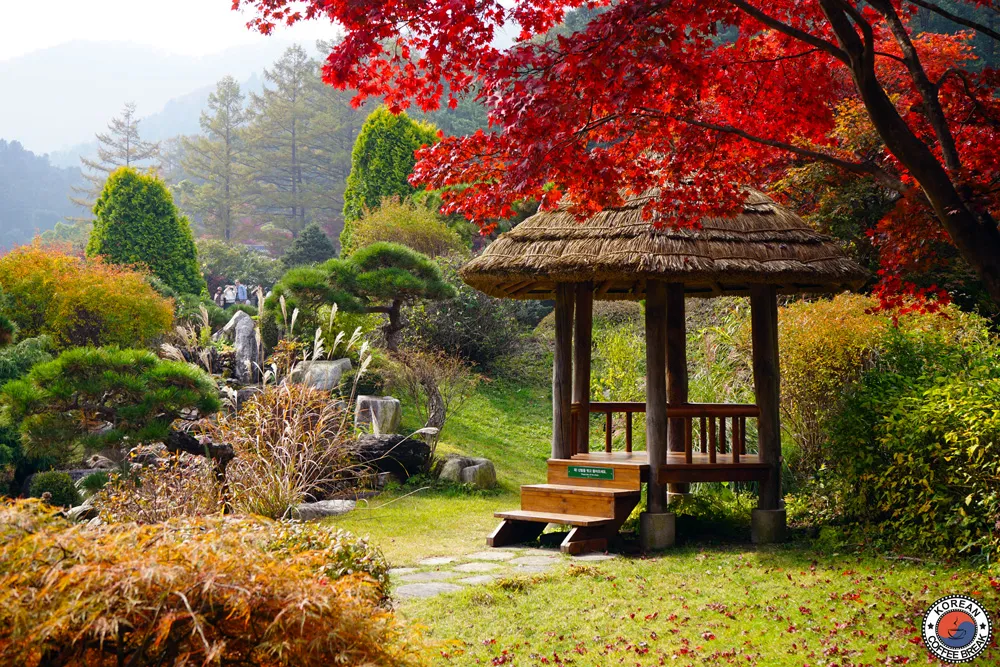 budget voyage 2 semaines en Corée du Sud