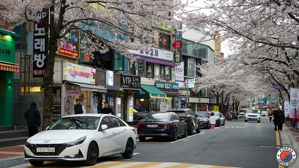 budget voyage 2 semaines en Corée du Sud