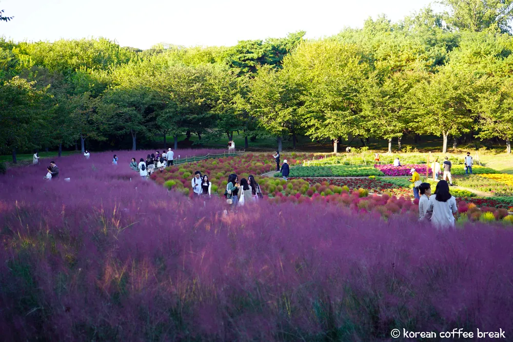 Feuillages d'automne en Corée du Sud