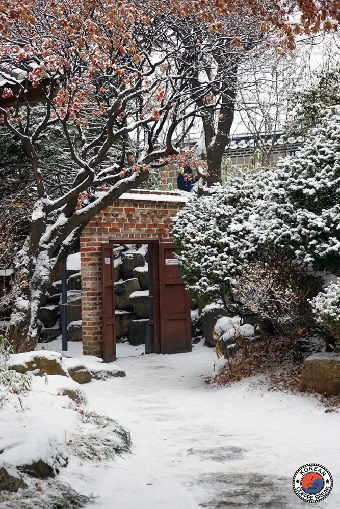 Hiver en Corée du Sud
