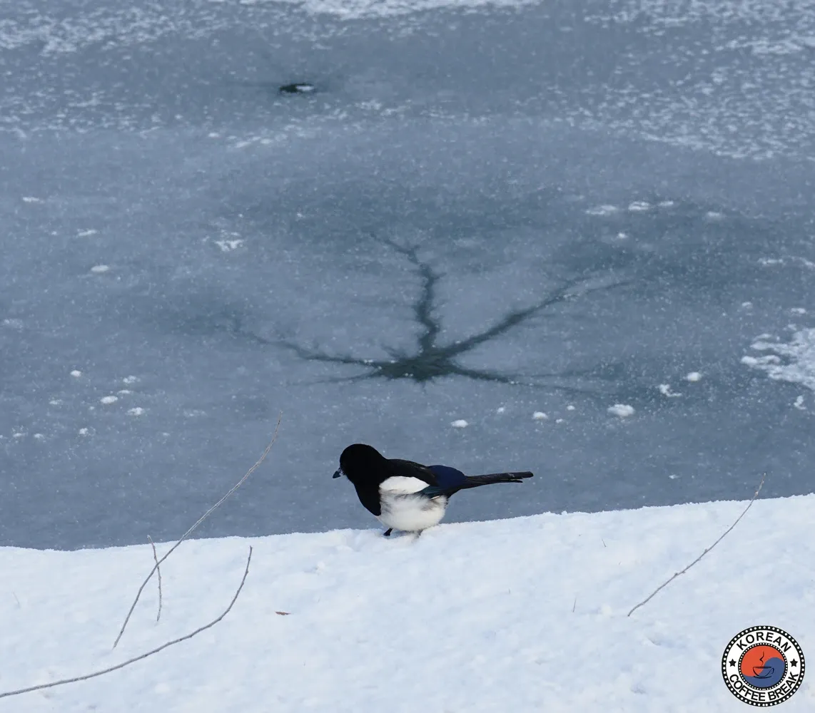 Hiver en Corée du Sud