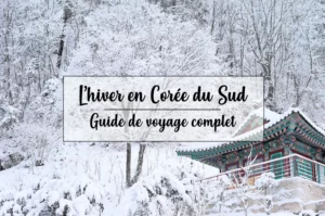 Hiver en Corée du Sud guide complet
