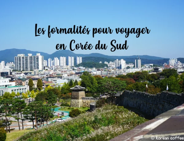 Les formalités pour voyager en Corée du Sud